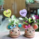 성동초교병설 이미지
