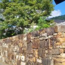 중앙초등학교 정문 맞은 편 횡단보도 | 5.춘향전을 소개한 나카라이 토스이