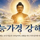 능가경 강해 52회 이미지