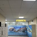 속초국민체육센터(에어로빅) 네이버블로그