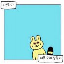 (주)그래그거