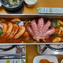 제주성산해마루