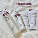 레드몰 1차 | 다이소 레드진생 스칼프 헤어 세트 사용 후기 | 탈모,두피건강 가성비 헤어템 추천