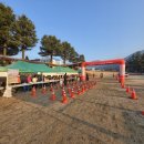 토지초등학교 | 2026 지리산 봄꽃레이스 후기