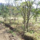 남원읍-34 이미지