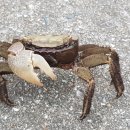 을숙도자전거문화체험협동조합 이미지