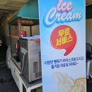 푸른솔 이미지