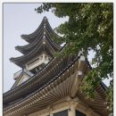 용산-이촌-1956 이미지