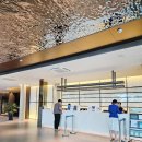 호텔 드몽드 | 담양 숙소 추천 드몽드 호텔 조식 수영장 솔직 후기