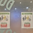 리프패럿 롯데마트 광복점 이미지