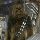 펫글타운 이미지