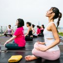 웰니스힐링글로벌
