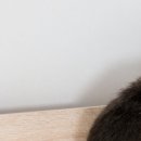 안산두리이비인후과의원 이미지