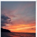 고양이는외계인 이미지