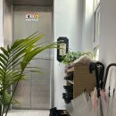 아미모아네일교육학원