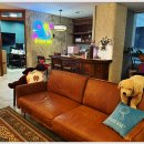 여의도의원 이미지