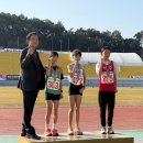 다산초가 이미지