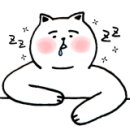 꿀돼지과자점