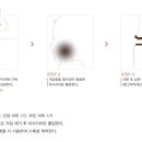 랑느