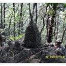 충주호 주봉산 이미지