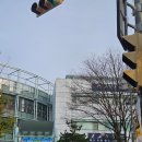 금천구 수영장 금천구민문화체육센터 원정수영 평일 자유수영 후기