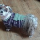 수원-0643 이미지