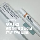 (주)윈로드소프트 | 오드타입 젠틀 블렌딩 립 라이너 231호 신드롬 내돈내산 후기 (+색상, 발색사진 有)