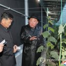 추대농장 이미지