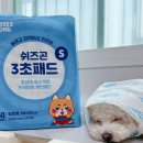냄새 없고 흡수력 최고인 쉬즈곤 3초 배변패드 루미의 후기!!