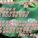 아실 이미지