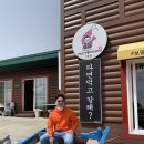 카카오 이미지