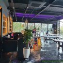 라스트나잇펍 이미지