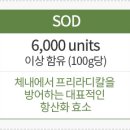 종합수퍼