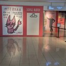 탄벌동-17 이미지