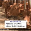 쑥쑥한우농장 이미지