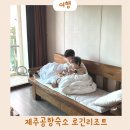 로긴리조트 | 제주공항근처 가성비 로긴리조트 자쿠지 아다지오룸 후기