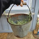 다송목장 이미지