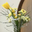 123 | 🌼 김해꽃집 온다플라워 감성 가득한 꽃다발 후기 💛