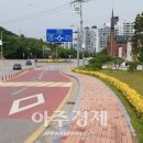 카페황금나무 이미지