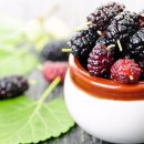 오디하우스 이미지