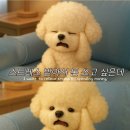 ☆731.정승환 이미지