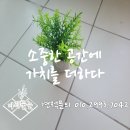 스윗시그널 - 창원시 의창구 용동로 45 | 남양주줄눈 오남쌍용스윗닷홈 15년구축아파트 시공일기