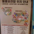 롯데열쇠 | 롯데월드 사물함 위치, 가격, 크기 현금결제 후기