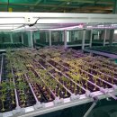 (주)애그리비즈니스 이미지