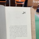 김밥천국구좌세화점