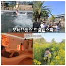 아이들과 가족 물놀이 제주 서귀포 야외온천 수영장 오레브스파 찜질방 방문후기