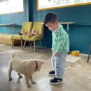 건신대학원대학교 | [대전] 대전 중구 용두동 신상 카페! 카페 어치브를 소개해드려요!