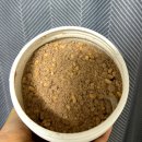 도리돈 | [후기]식사대용 단백질쉐이크,프리밀 밸런스 프로틴 초코맛프로틴드링크 카카오단백질드링크