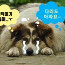 헬스라이프 이미지