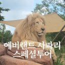 더월드투어 - 거제시 옥포대첩로 1 | 용인 에버랜드 사파리 스페셜투어, 사파리월드 체험 후기.